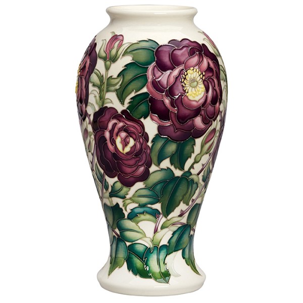 Roses for Henry Cranke Andrews